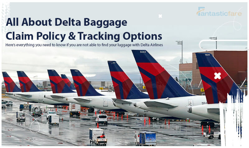 All About Delta Baggage Claim Policy & Tracking Options